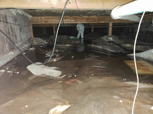 Best Ceiling and Wall Water Damage Repair in Le Center, MN